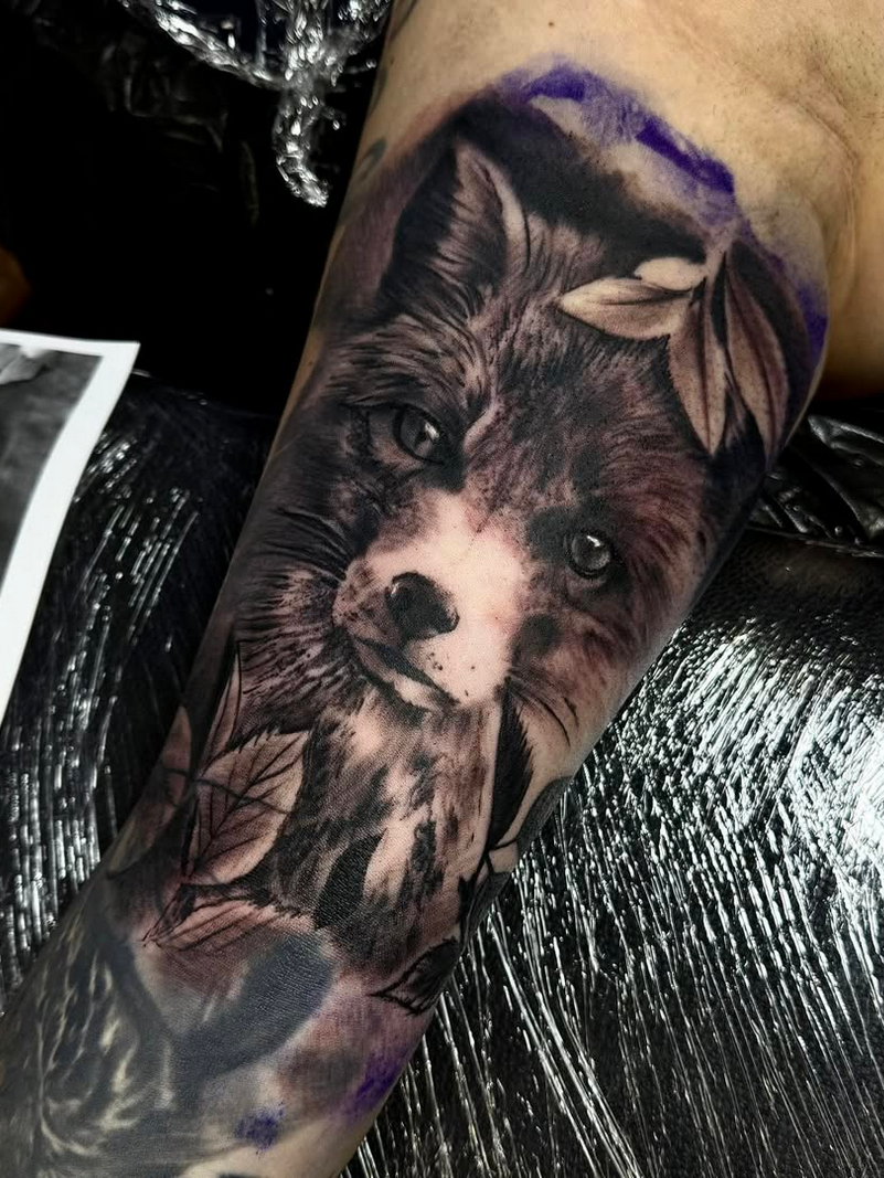 Screenshot 2026-02-17 at 10-55-21 Instagram